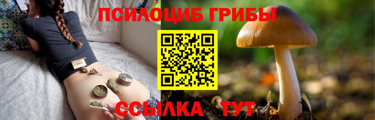 Псилоцибиновые грибы Psilocybine cubensis Домодедово